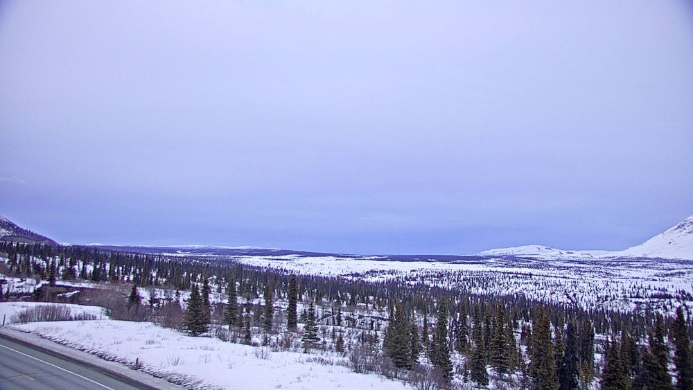 Alaska 511 traffic cam, Fairbanks corridor — same dark sky as the dedicated aurora cams